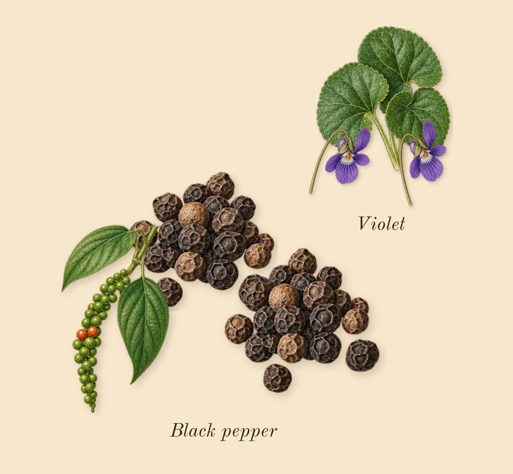 B683, top notes: Black pepper, Violet