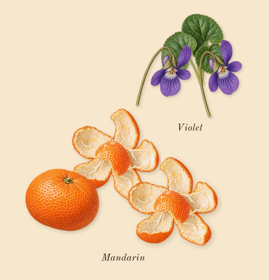 Ganymede, top notes: Mandarin, Violet