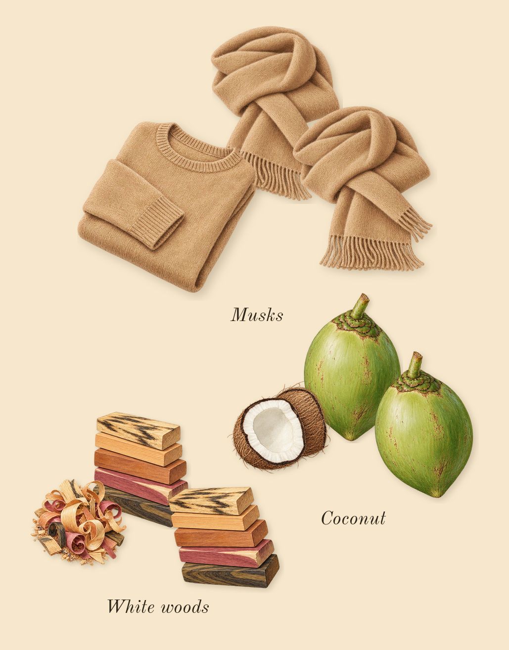 Daisy Dream, dry-down: White woods, Musks, Coconut