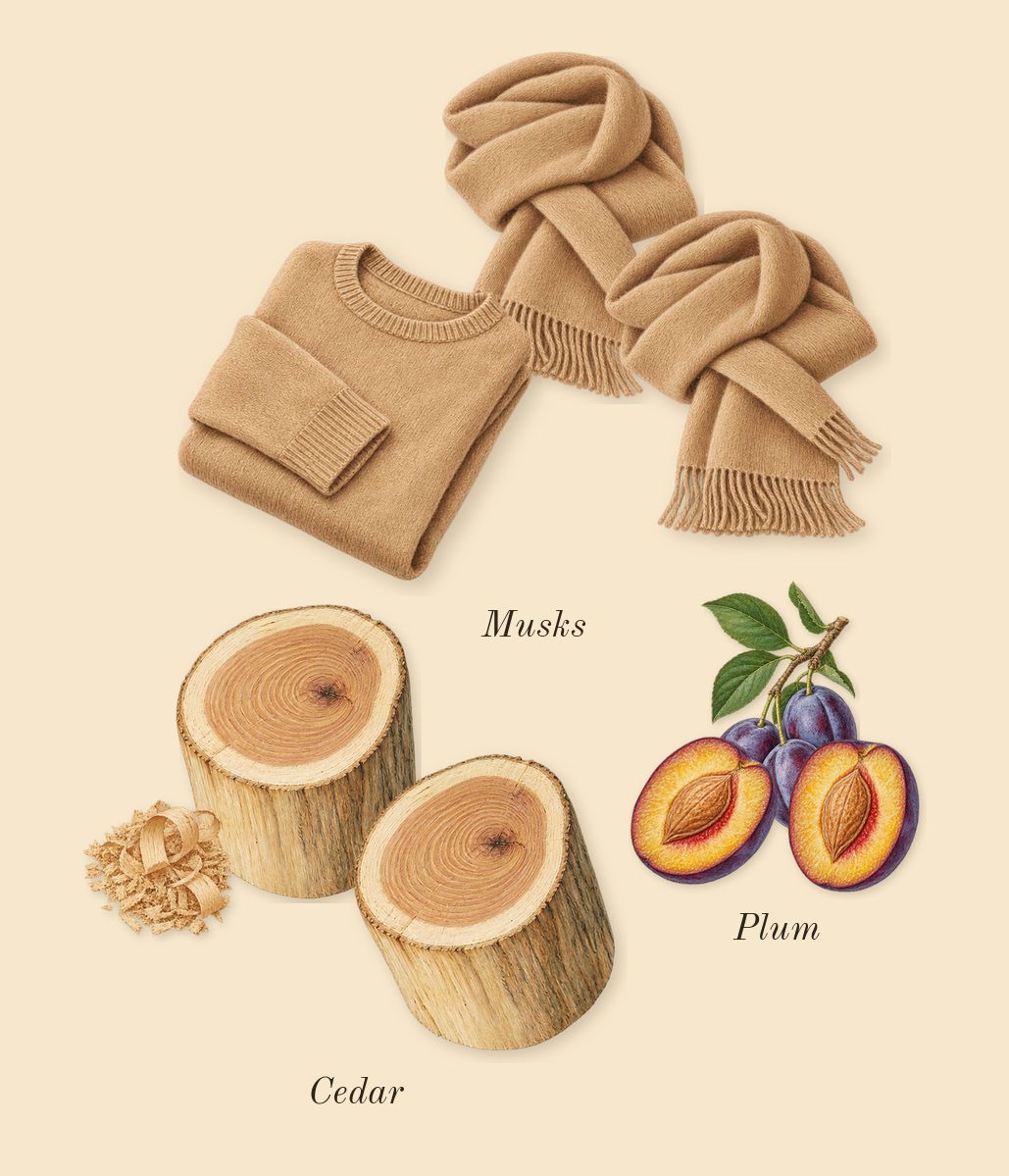 Daisy Eau So Fresh, dry-down: Musks, Cedar, Plum