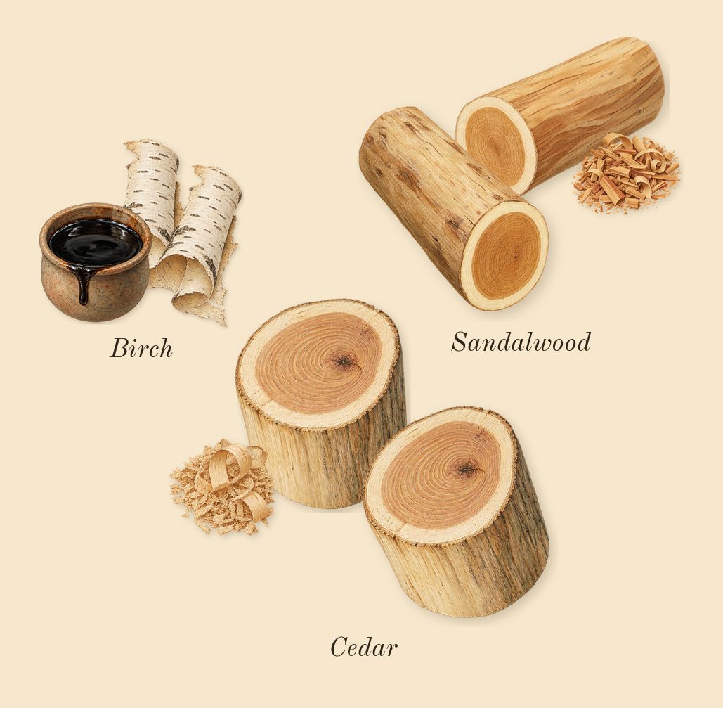 Daisy, dry-down: Sandalwood, Birch, Cedar