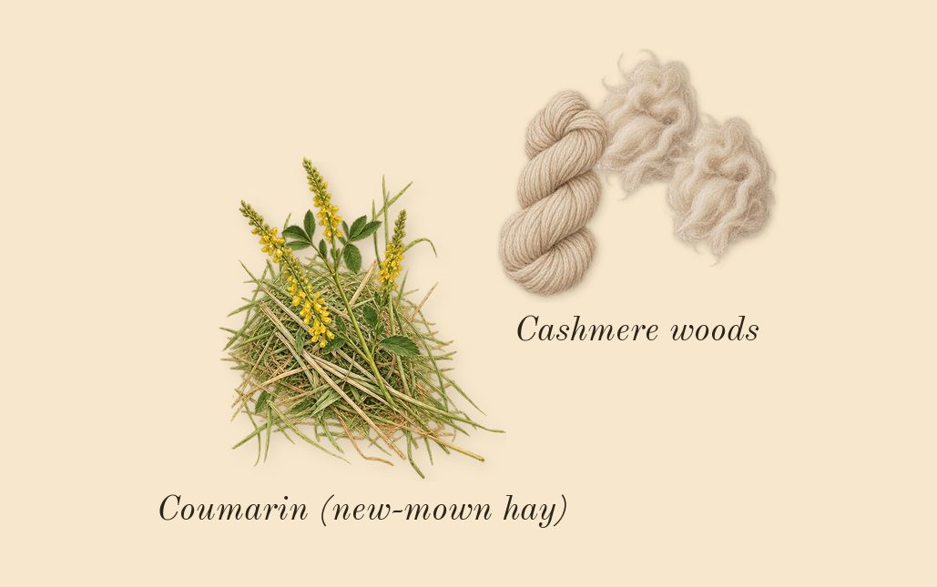 Daisy Ever So Fresh, dry-down: Cashmere woods, Coumarin (new-mown hay)
