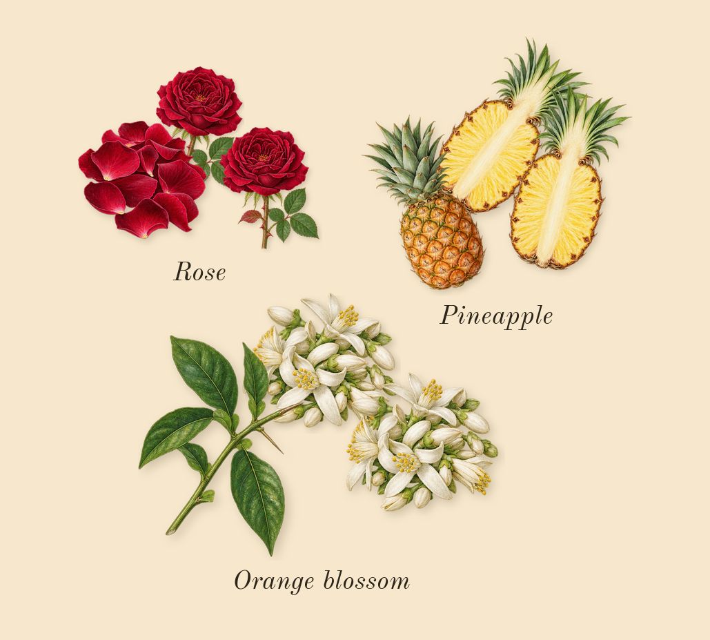 Daisy Ever So Fresh, heart: Rose, Pineapple, Orange blossom