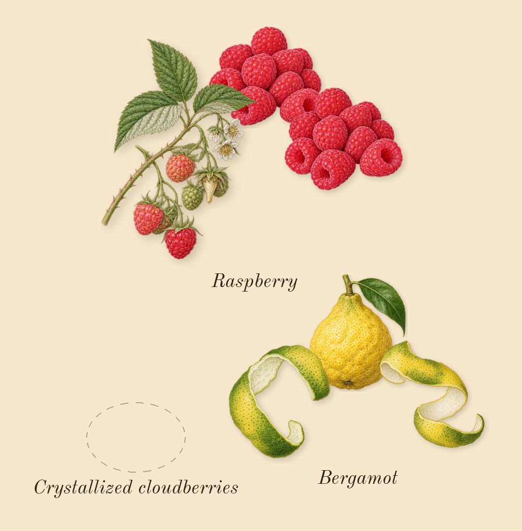 Daisy Love Eau So Sweet, top notes: Raspberry, Bergamot, Crystallized cloudberries