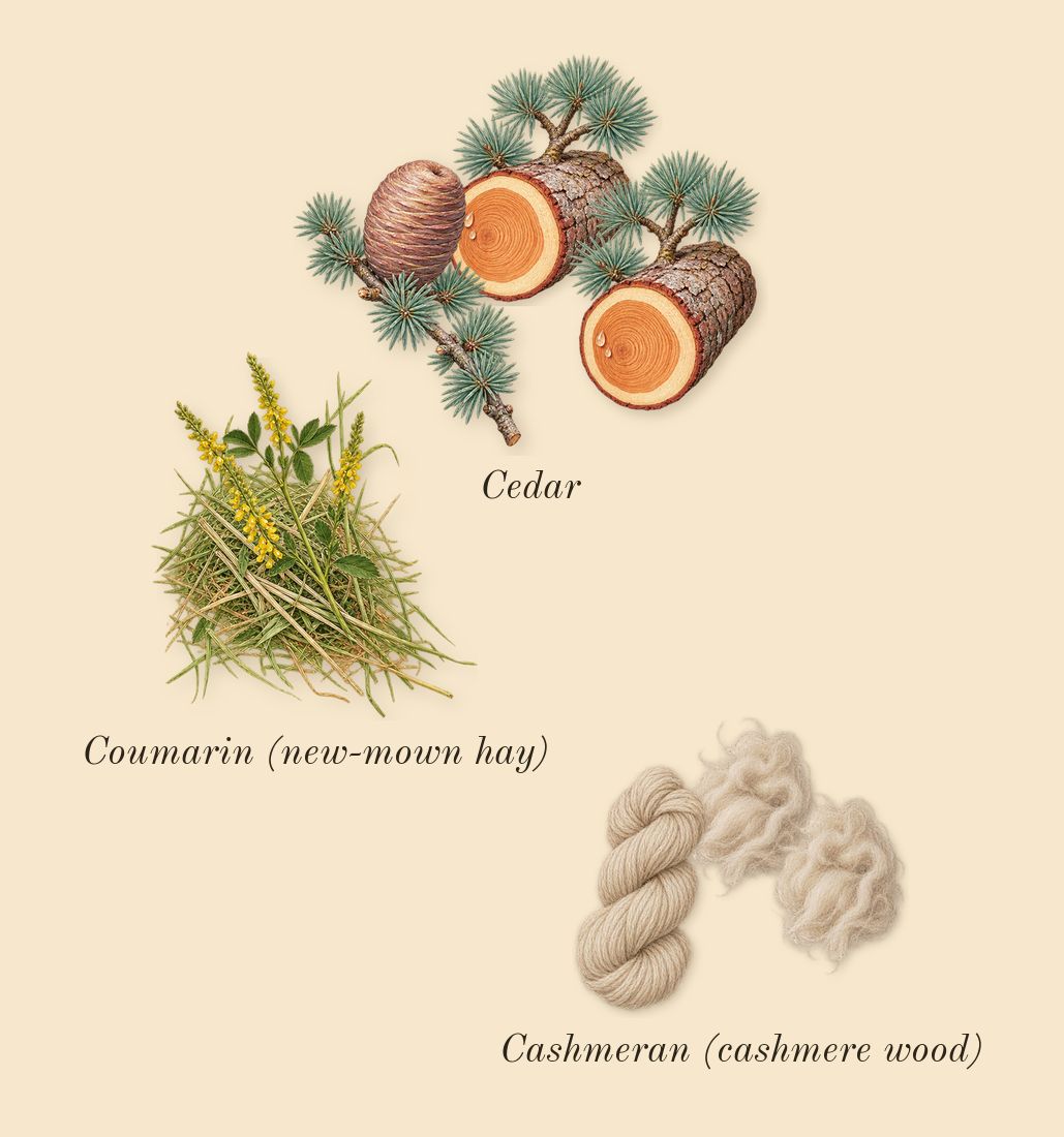 Perfect, dry-down: Cashmeran (cashmere wood), Cedar, Coumarin (new-mown hay)