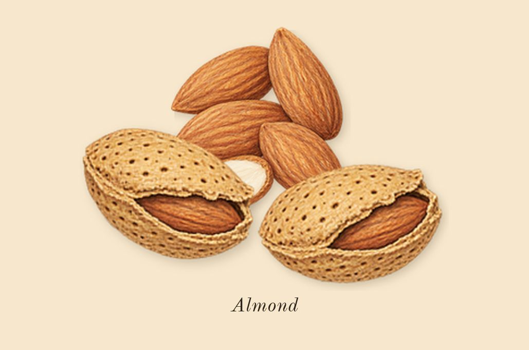 Perfect, heart: Almond
