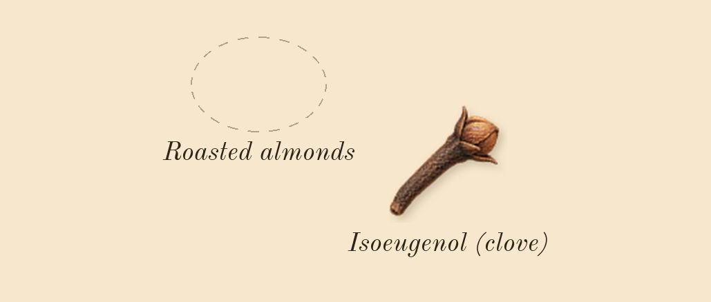 Perfect Intense, heart: Roasted almonds, Isoeugenol (clove)