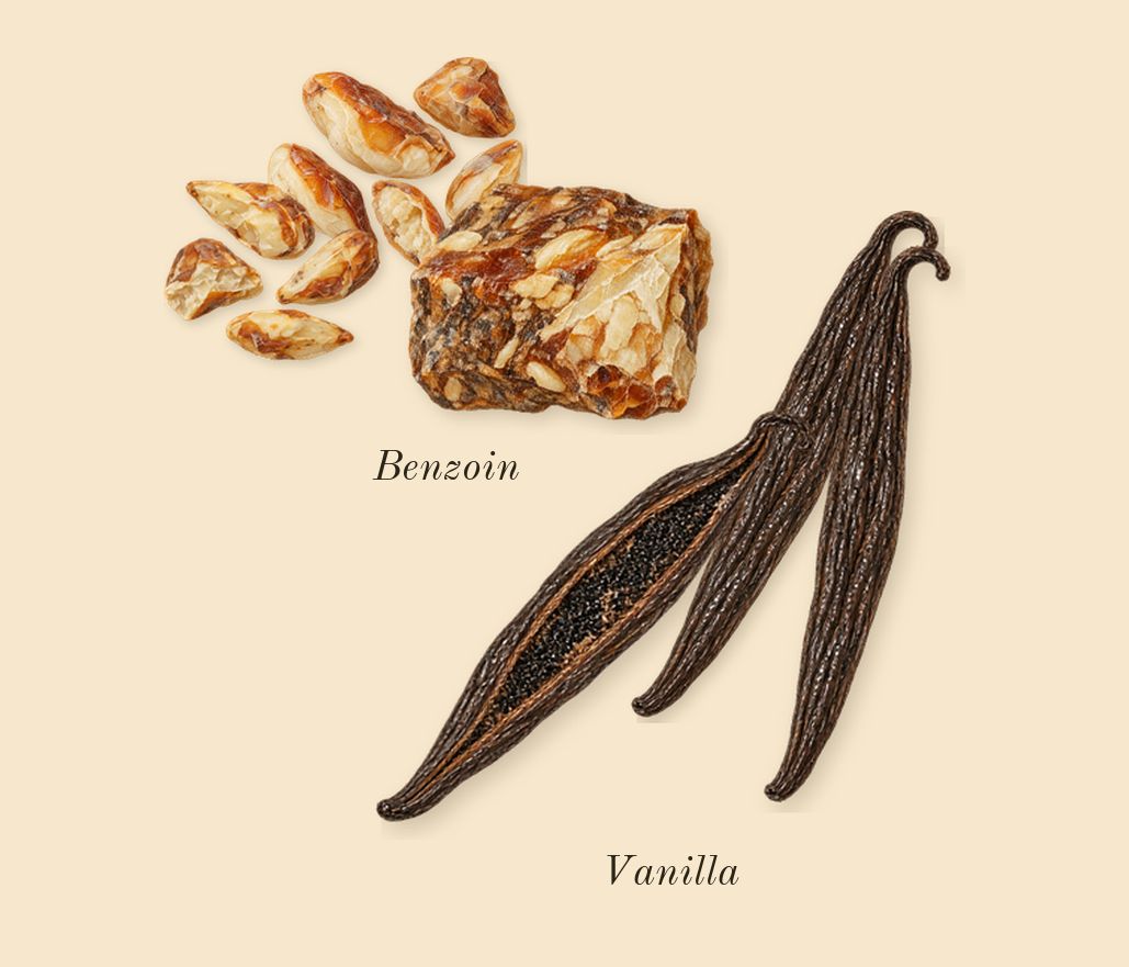 Material, heart: Vanilla, Benzoin