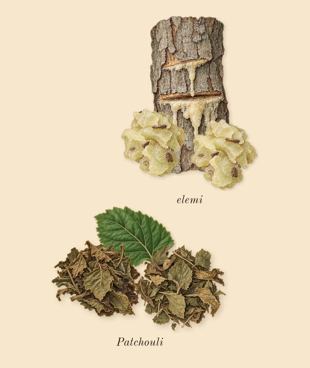 Material, top notes: elemi, Patchouli