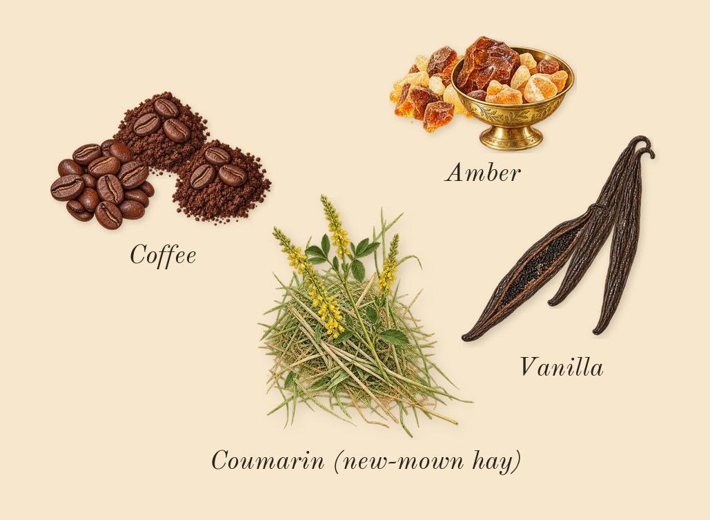 Encens Suave, dry-down: Amber, Coffee, Vanilla, Coumarin (new-mown hay)