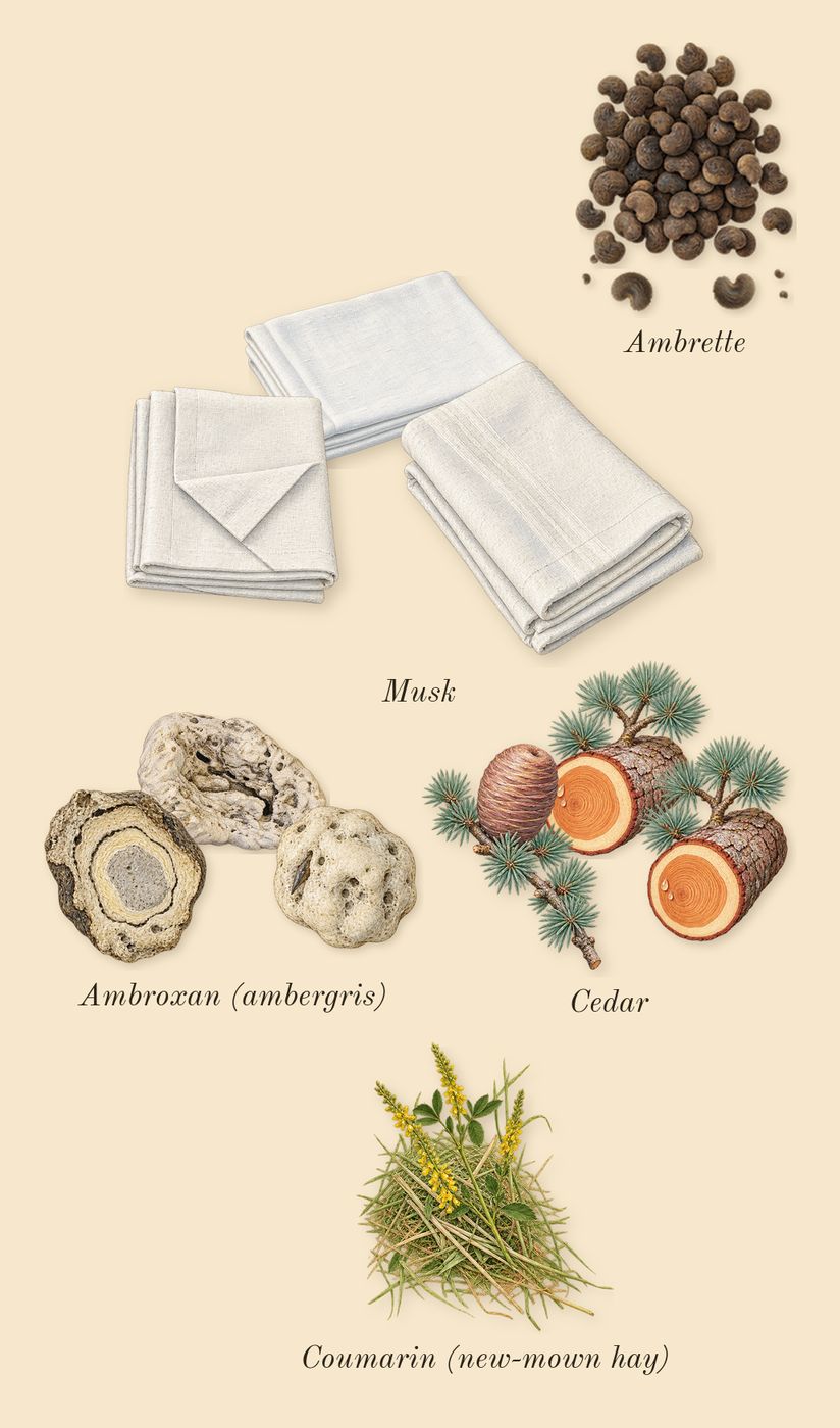 Parisian Musc, dry-down: Ambrette, Cedar, Musk, Ambroxan (ambergris), Coumarin (new-mown hay)