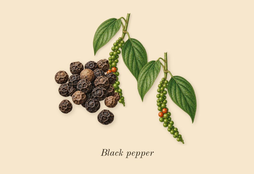 Radical Rose, top notes: Black pepper