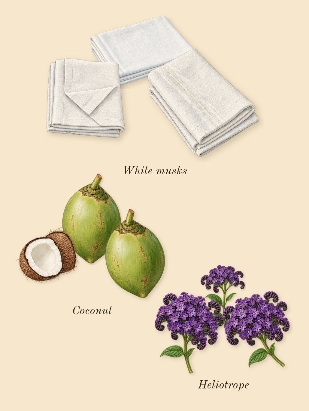 Vanilla Powder, heart: Coconut, White musks, Heliotrope