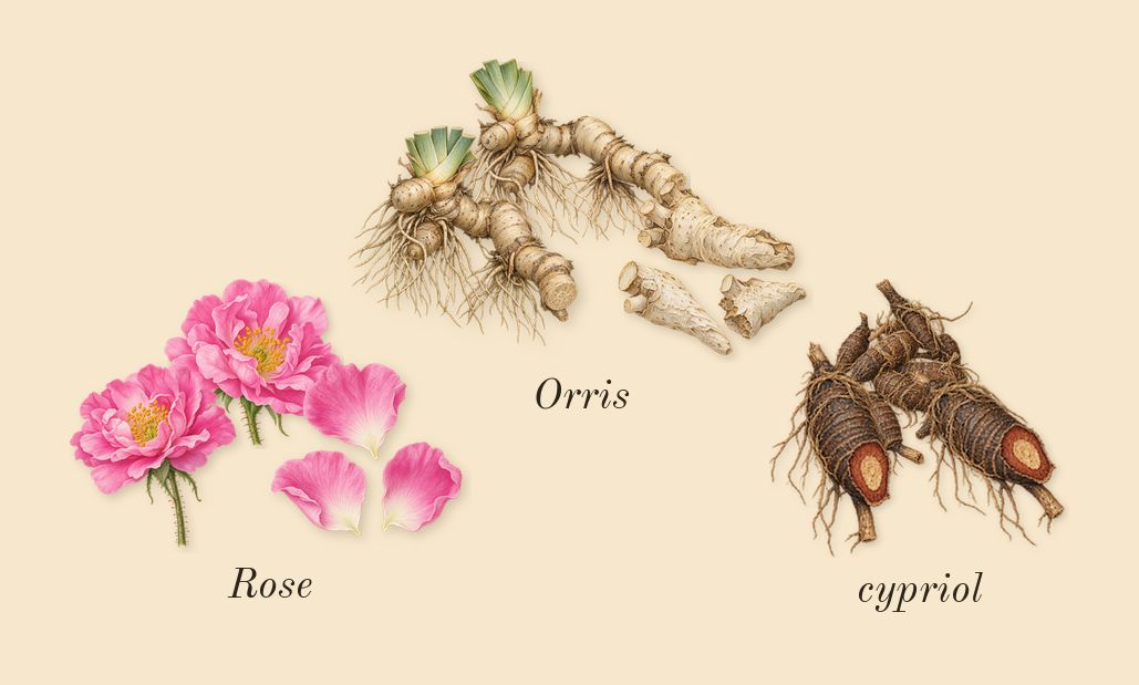 Meander, heart: Orris, Rose, cypriol