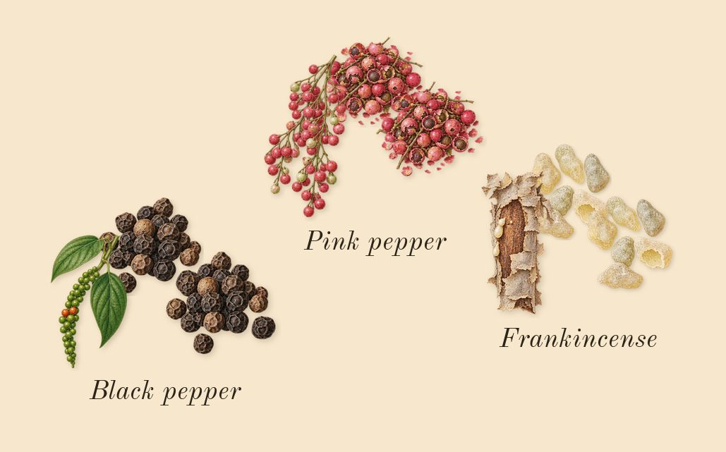 Meander, top notes: Frankincense, Pink pepper, Black pepper