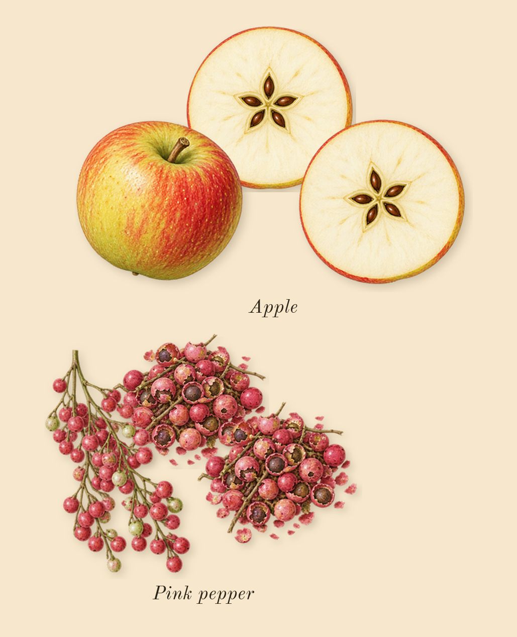 Cap Camarat, top notes: Pink pepper, Apple