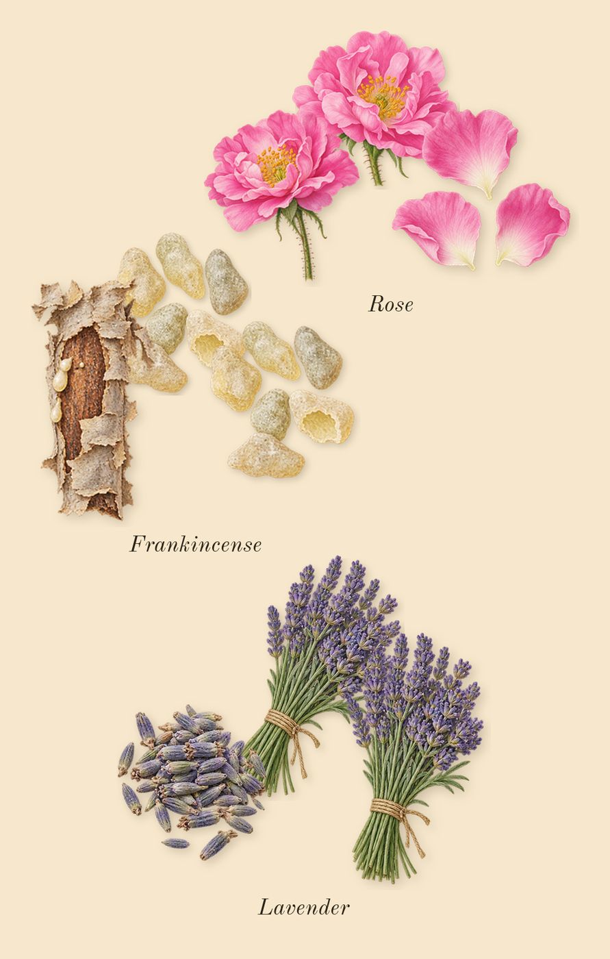 Memoir Man, heart: Rose, Frankincense, Lavender