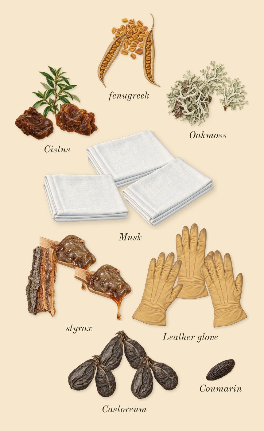 Memoir Woman, dry-down: styrax, Oakmoss, Castoreum, Leather glove, Cistus, fenugreek, Musk, Coumarin