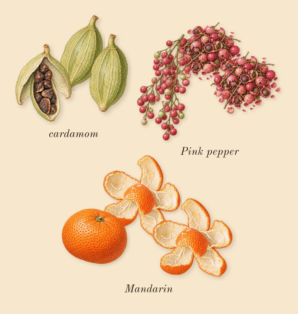 Memoir Woman, top notes: Mandarin, cardamom, Pink pepper