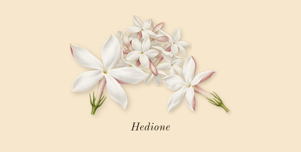 Baccarat Rouge 540, heart: Hedione