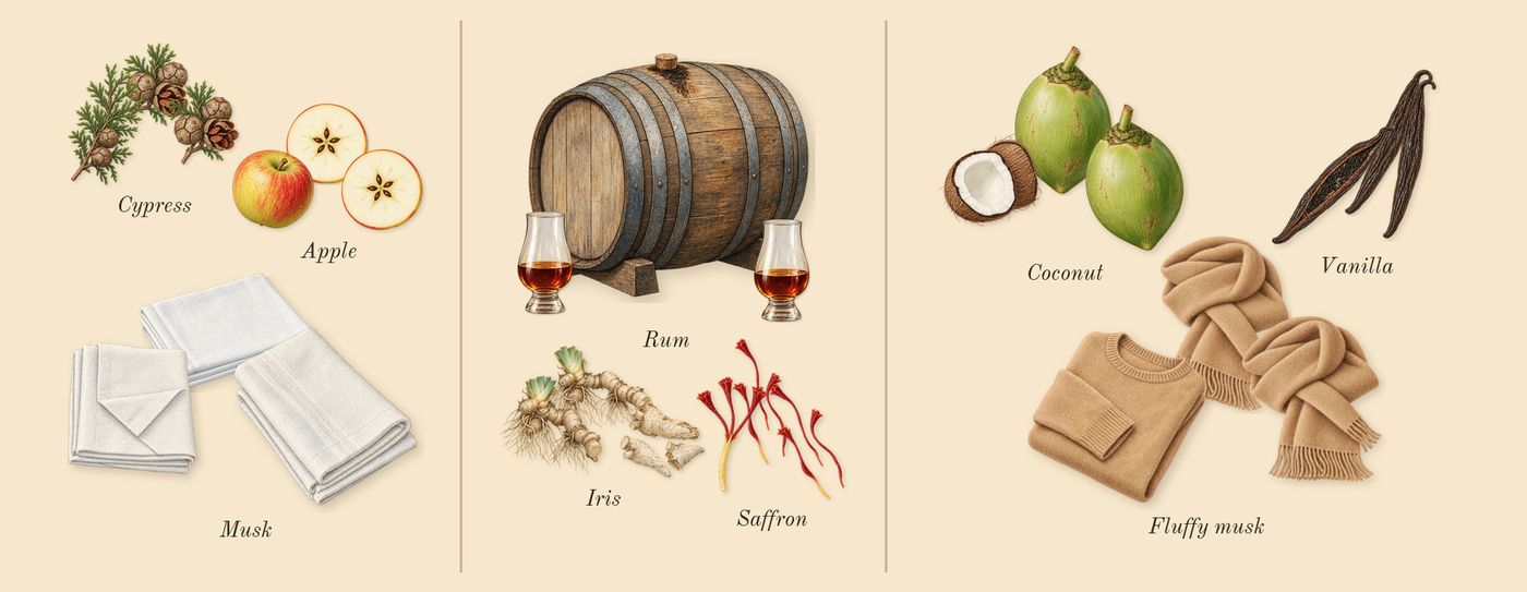 Queening’s scent picture, a draft: musk, cypress, apple, iris, rum, saffron drawn so far; dashed outlines where nothing is drawn yet