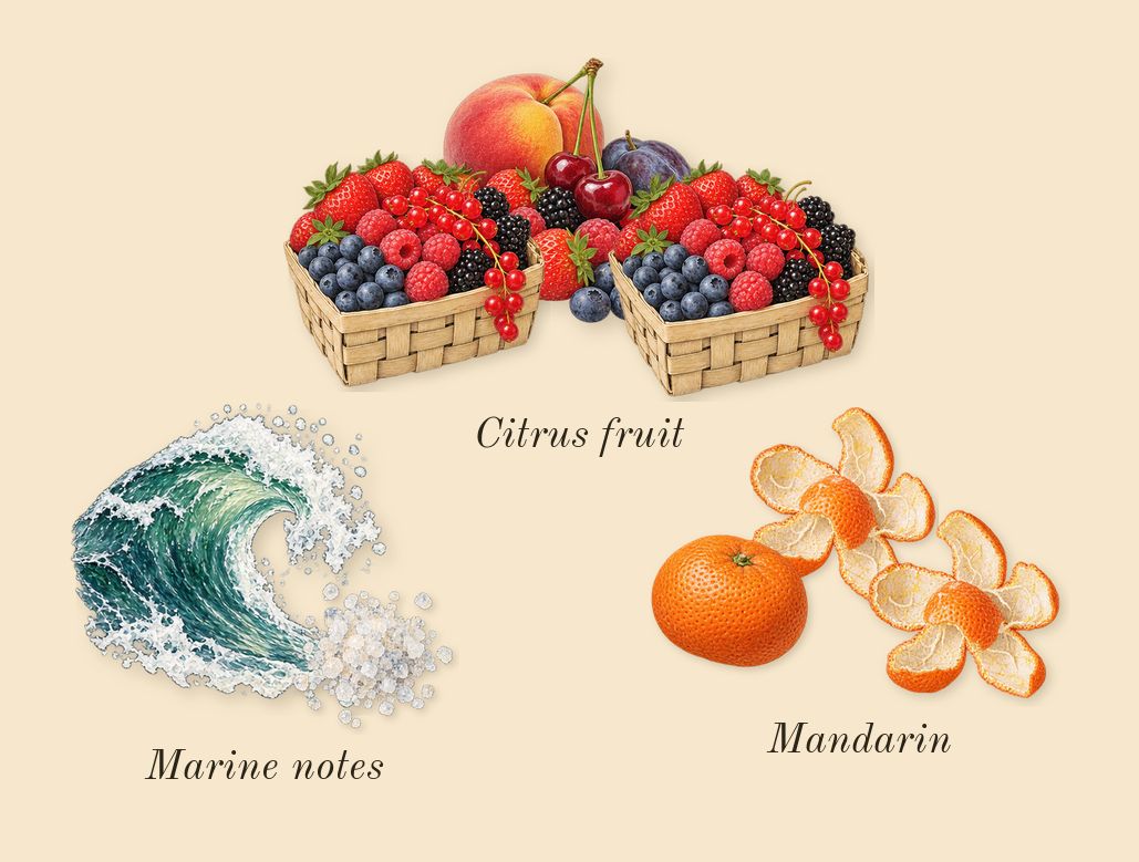 Wave, top notes: Marine notes, Mandarin, Citrus fruit