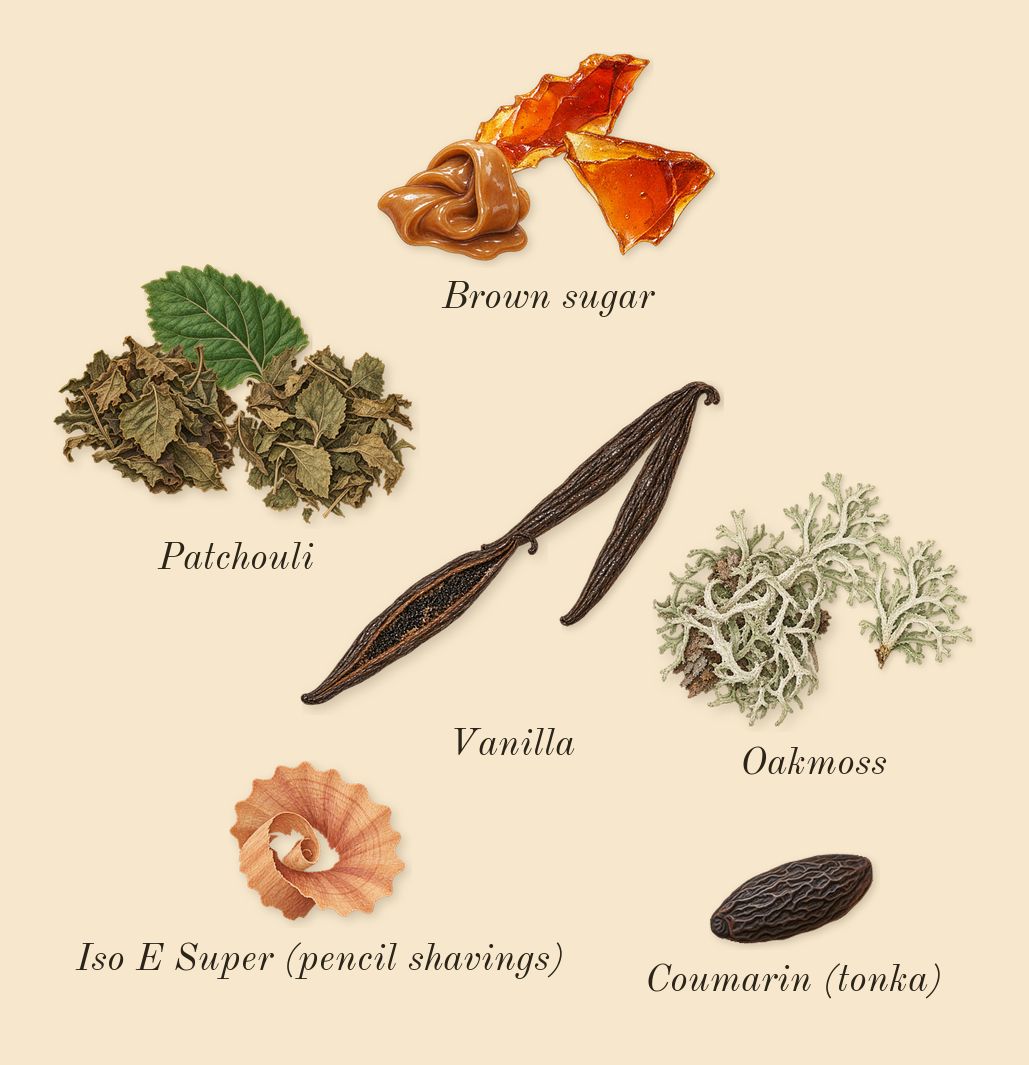 Miutine, dry-down: Brown sugar, Vanilla, Patchouli, Oakmoss, Iso E Super (pencil shavings), Coumarin (tonka)