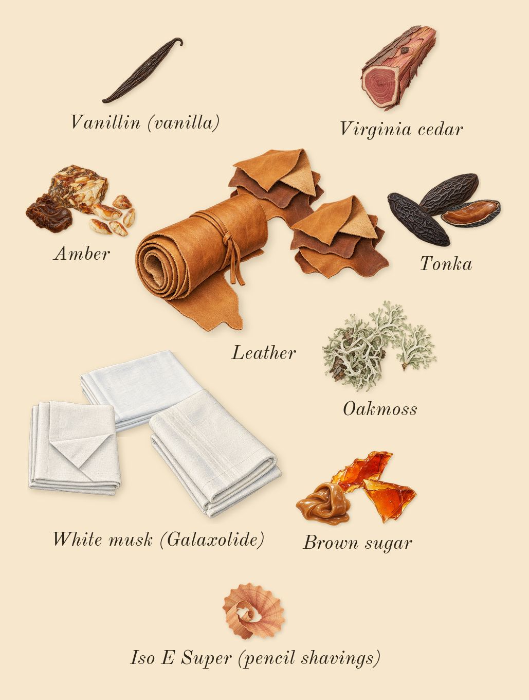 Arabians Tonka, dry-down: Amber, Oakmoss, Tonka, Leather, Brown sugar, White musk (Galaxolide), Virginia cedar, Iso E Super (pencil shavings), Vanillin (vanilla)