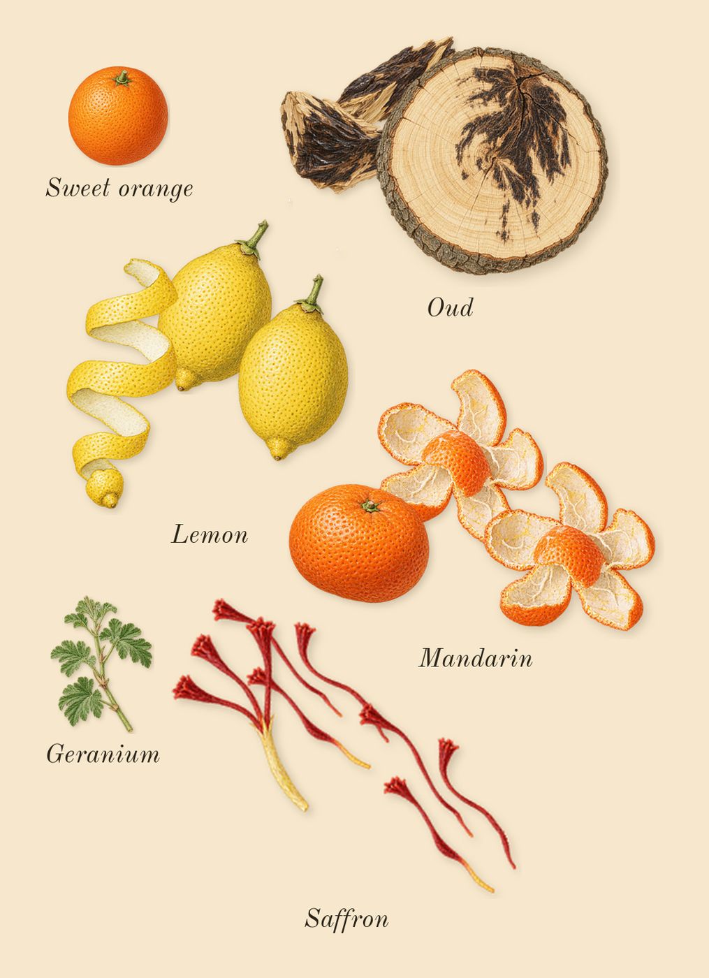 Black Aoud, top notes: Lemon, Mandarin, Oud, Saffron, Geranium, Sweet orange