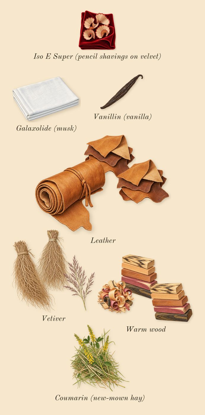 Explorer Extreme, dry-down: Warm wood, Leather, Vetiver, Iso E Super (pencil shavings on velvet), Galaxolide (musk), Coumarin (new-mown hay), Vanillin (vanilla)