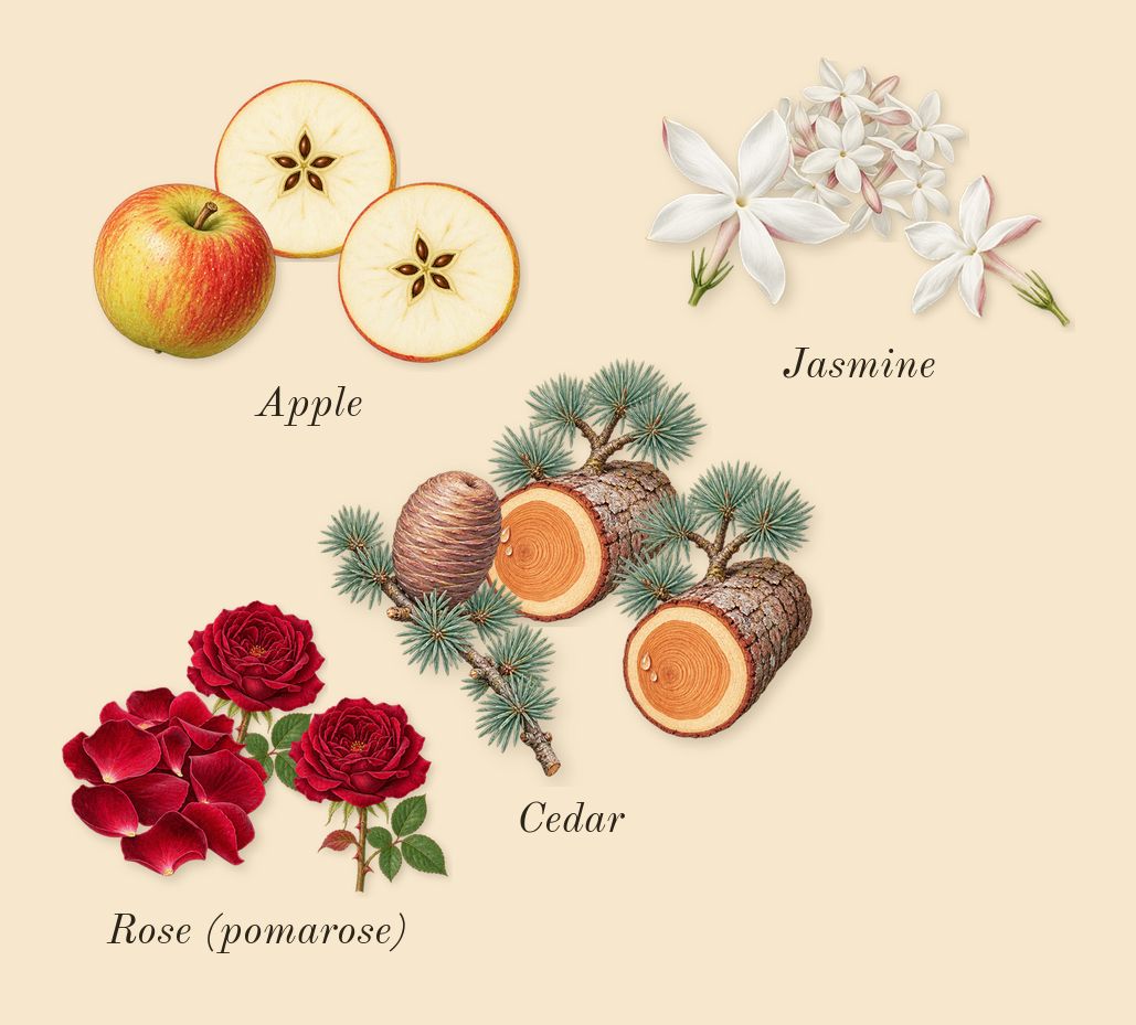 Legend, heart: Jasmine, Cedar, Apple, Rose (pomarose)