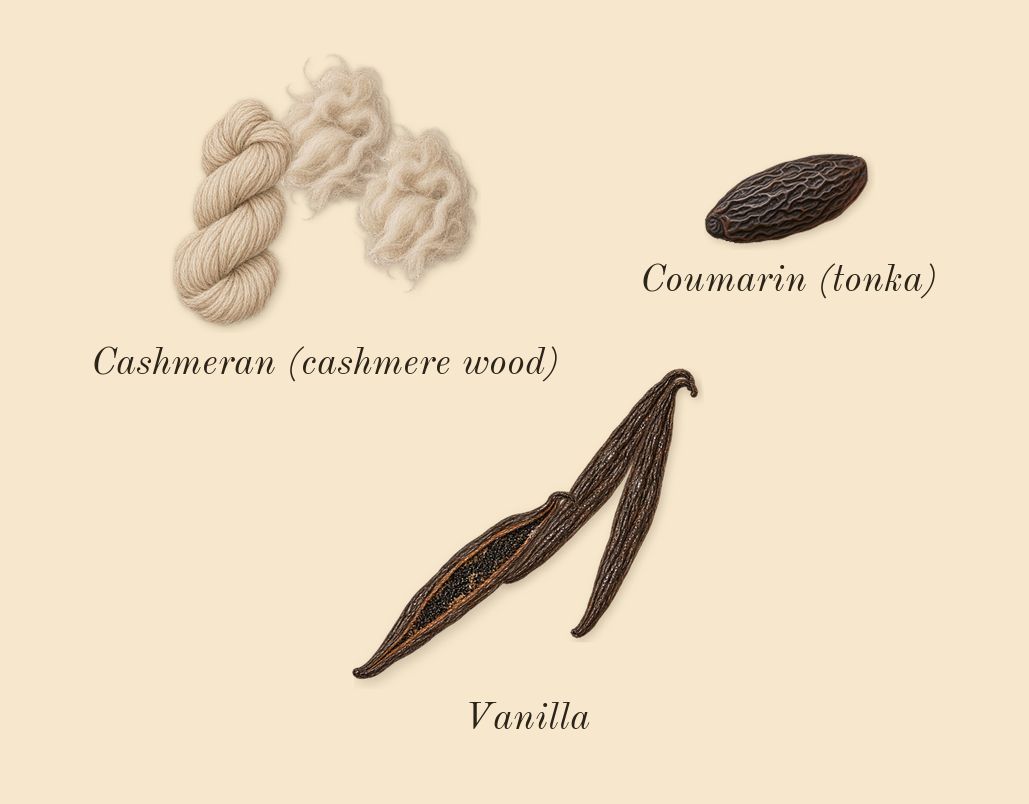 Alien Goddess, dry-down: Vanilla, Cashmeran (cashmere wood), Coumarin (tonka)