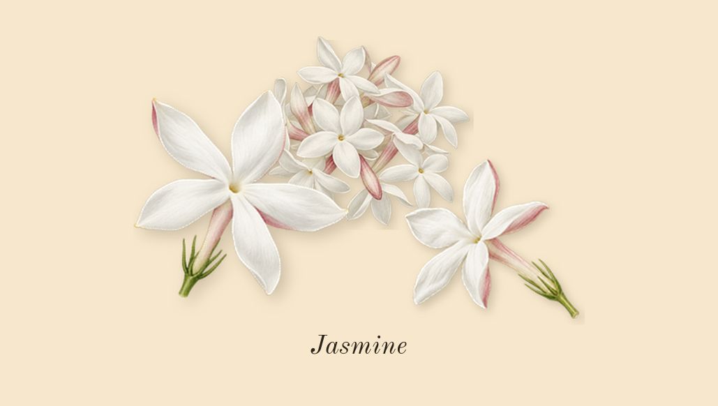 Alien Goddess, heart: Jasmine