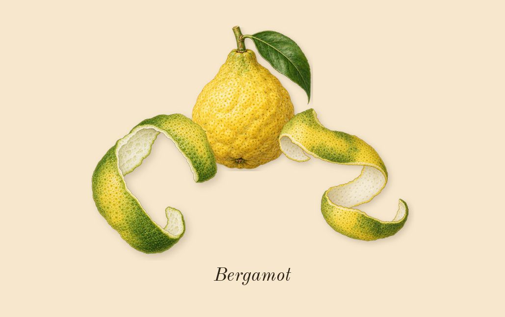 Alien Goddess, top notes: Bergamot