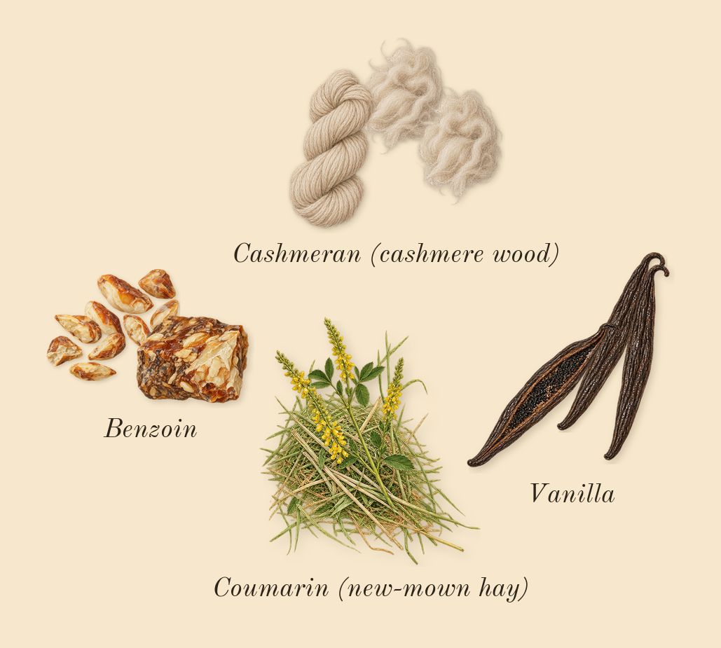 Alien Goddess Intense, dry-down: Vanilla, Benzoin, Cashmeran (cashmere wood), Coumarin (new-mown hay)