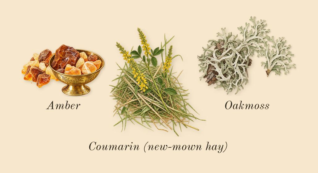 Alien Goddess Supra Florale, dry-down: Oakmoss, Amber, Coumarin (new-mown hay)