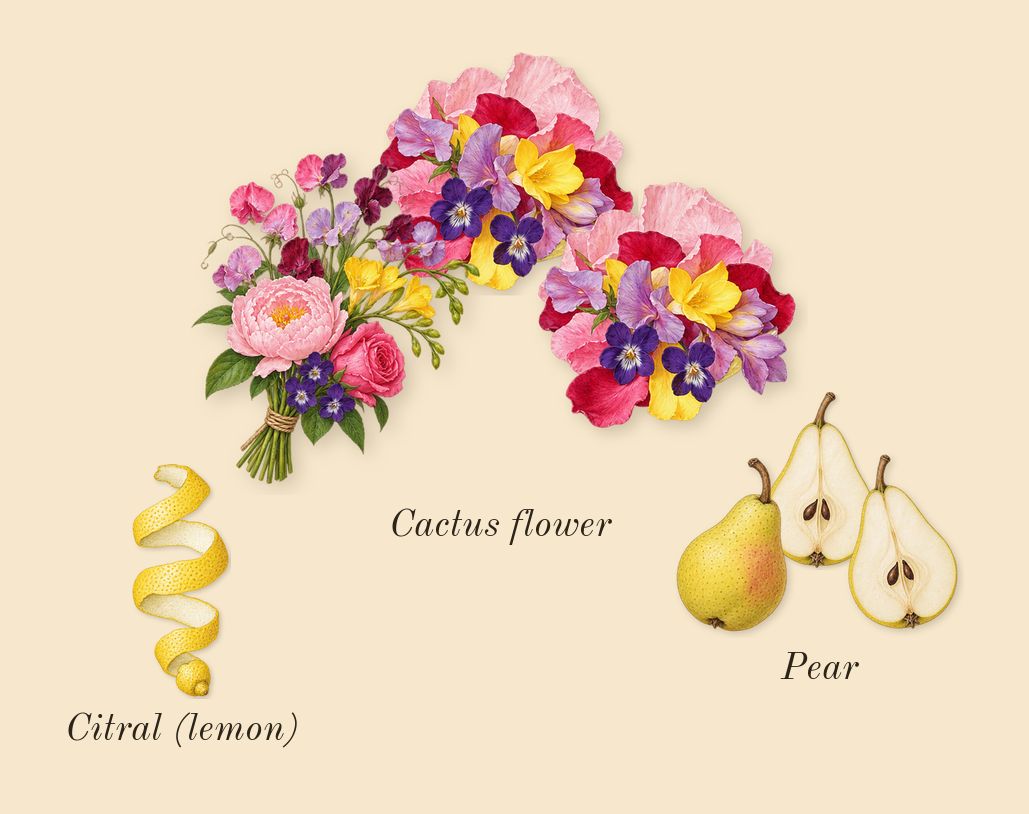 Alien Goddess Supra Florale, top notes: Cactus flower, Pear, Citral (lemon)