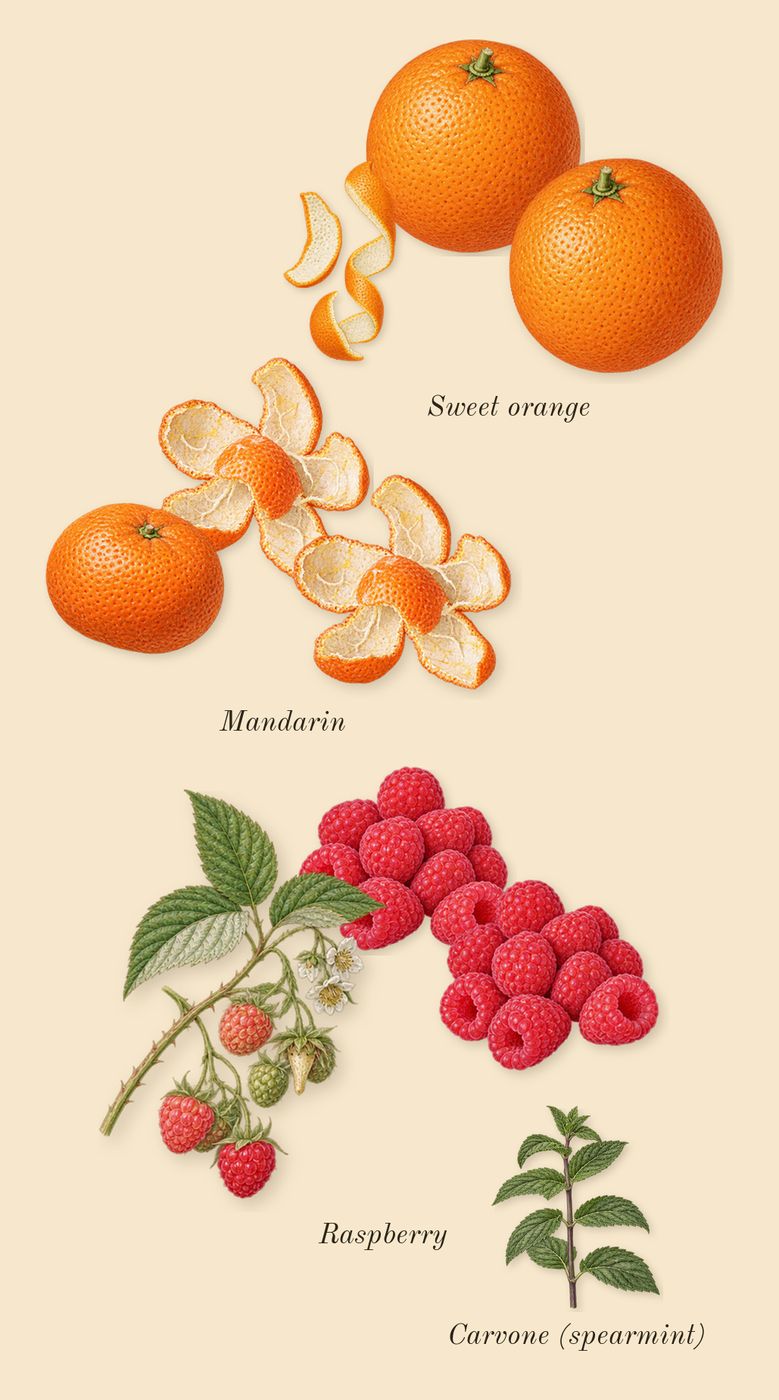 Alien Pulp, top notes: Raspberry, Sweet orange, Mandarin, Carvone (spearmint)