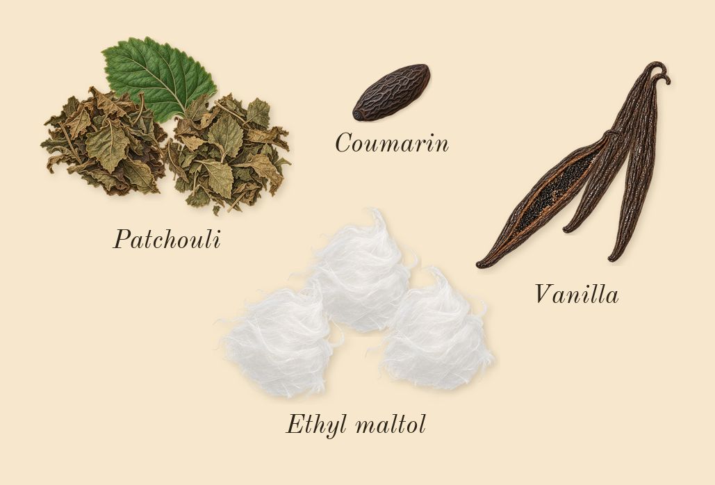 Angel, dry-down: Patchouli, Vanilla, Ethyl maltol, Coumarin