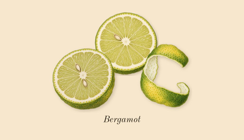 Angel, top notes: Bergamot