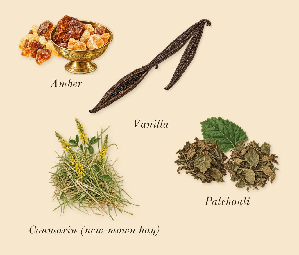 Angel Fantasm, dry-down: Patchouli, Vanilla, Amber, Coumarin (new-mown hay)
