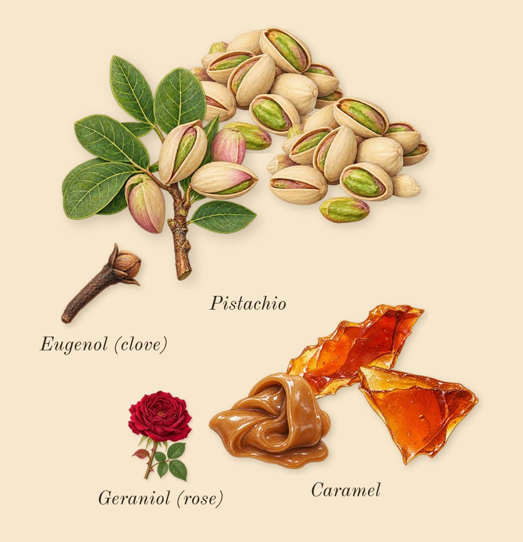 Angel Stellar, heart: Pistachio, Caramel, Geraniol (rose), Eugenol (clove)