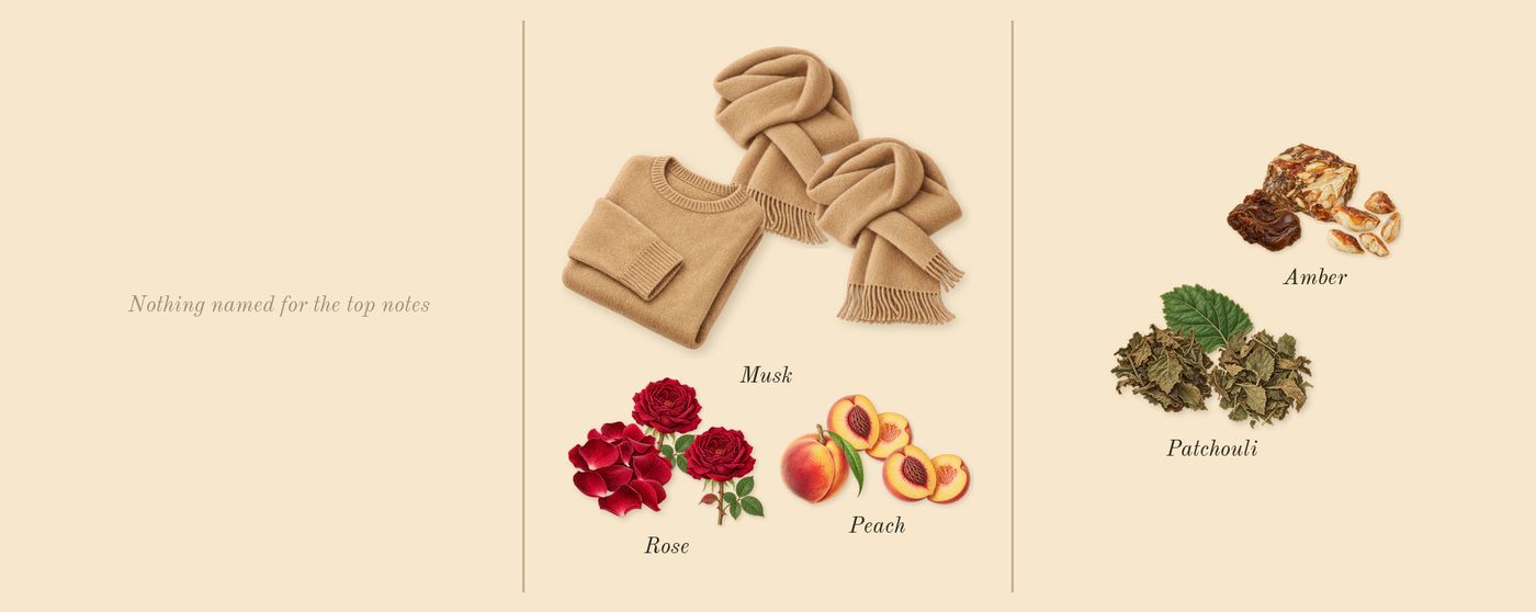 For Her’s scent picture, a draft: peach, rose, musk, patchouli, amber drawn so far; dashed outlines where nothing is drawn yet