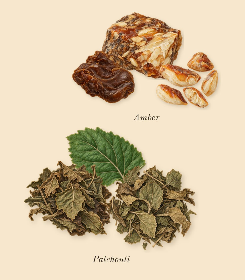 For Her Pure Musc, dry-down: Amber, Patchouli