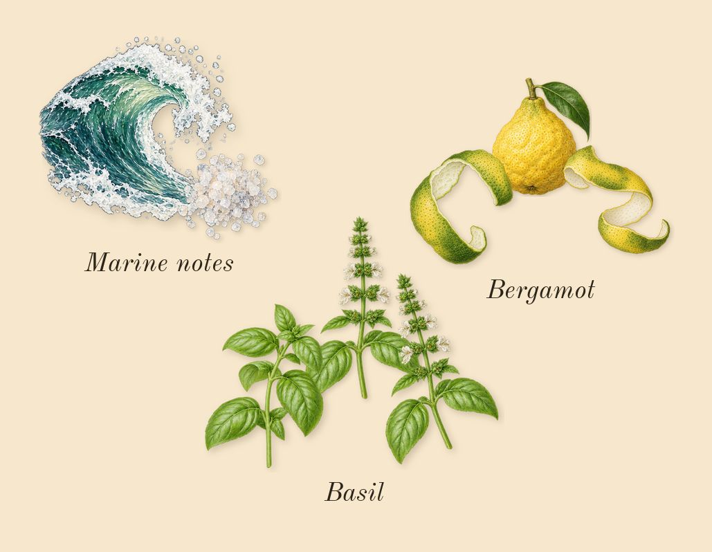 Blue, top notes: Basil, Marine notes, Bergamot