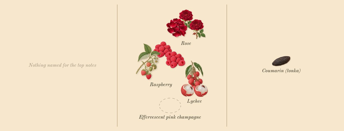 Lychee Rose’s scent picture, a draft: rose, lychee, raspberry, coumarin (tonka) drawn so far; dashed outlines where nothing is drawn yet