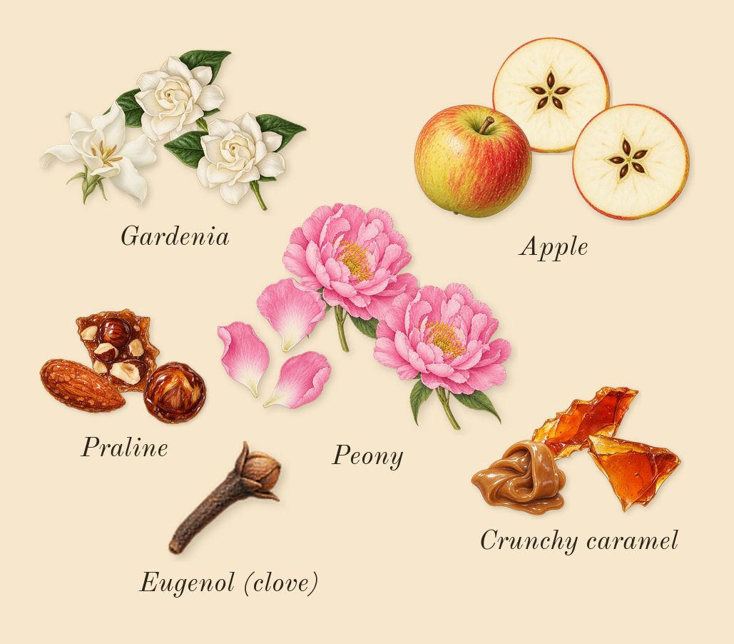 Nina, heart: Gardenia, Apple, Crunchy caramel, Peony, Praline, Eugenol (clove)