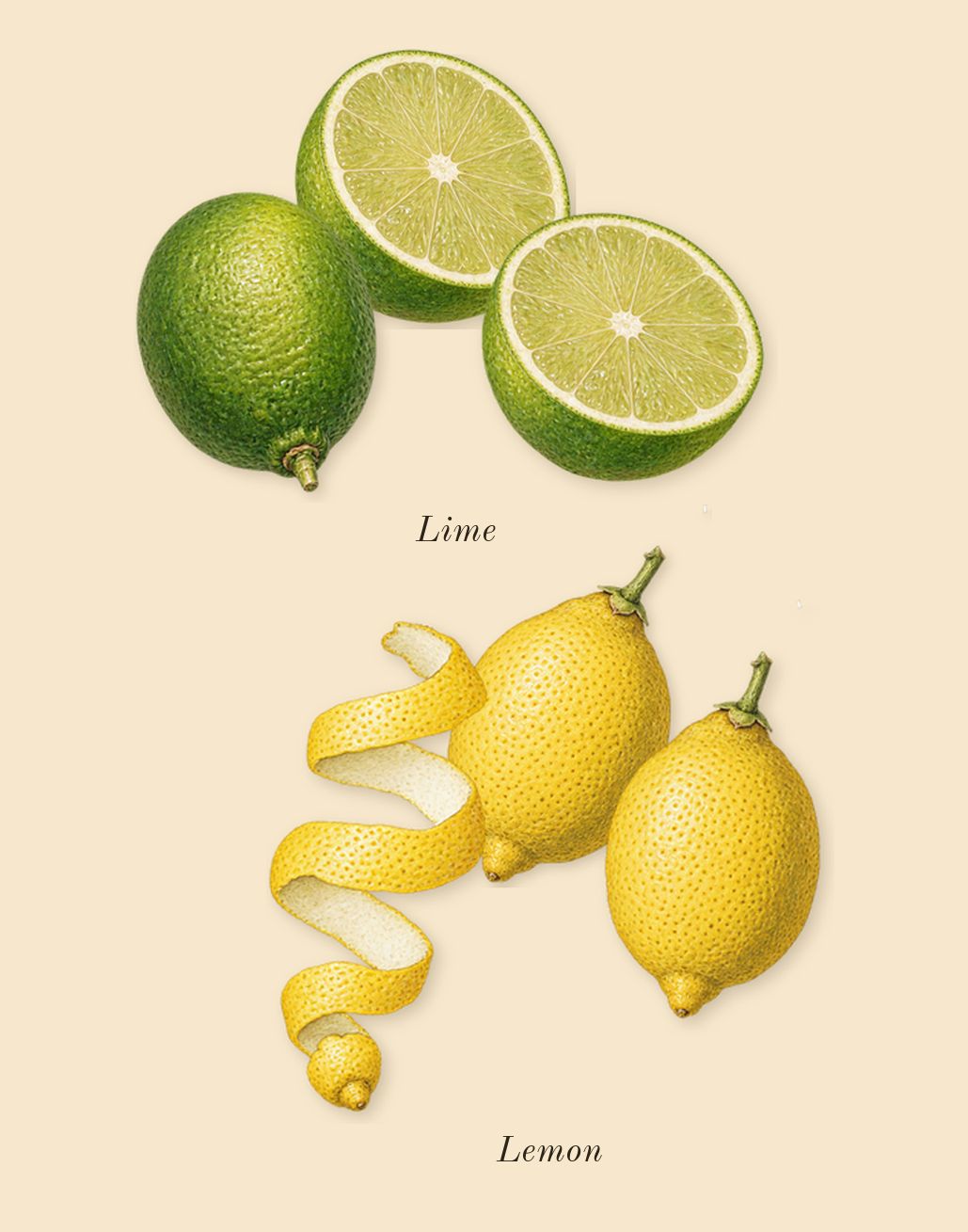 Nina, top notes: Lemon, Lime