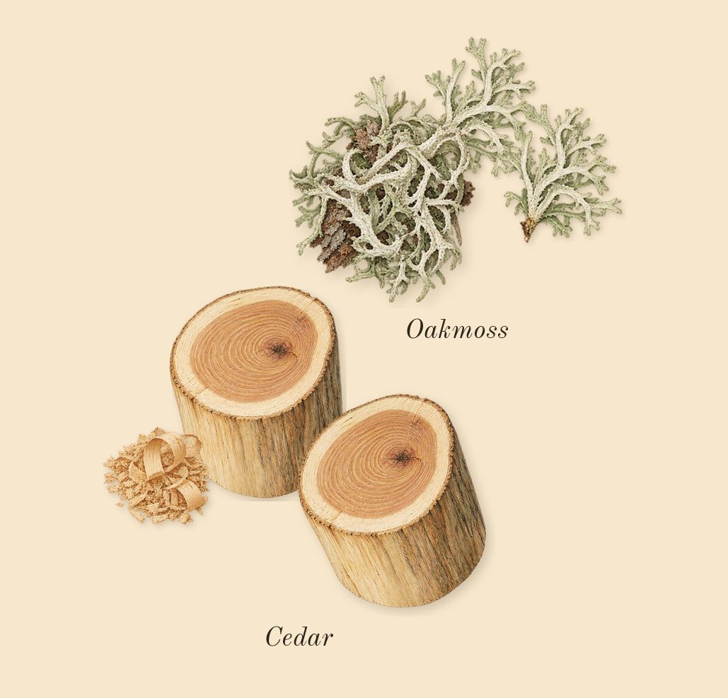 Fan Your Flames, dry-down: Oakmoss, Cedar