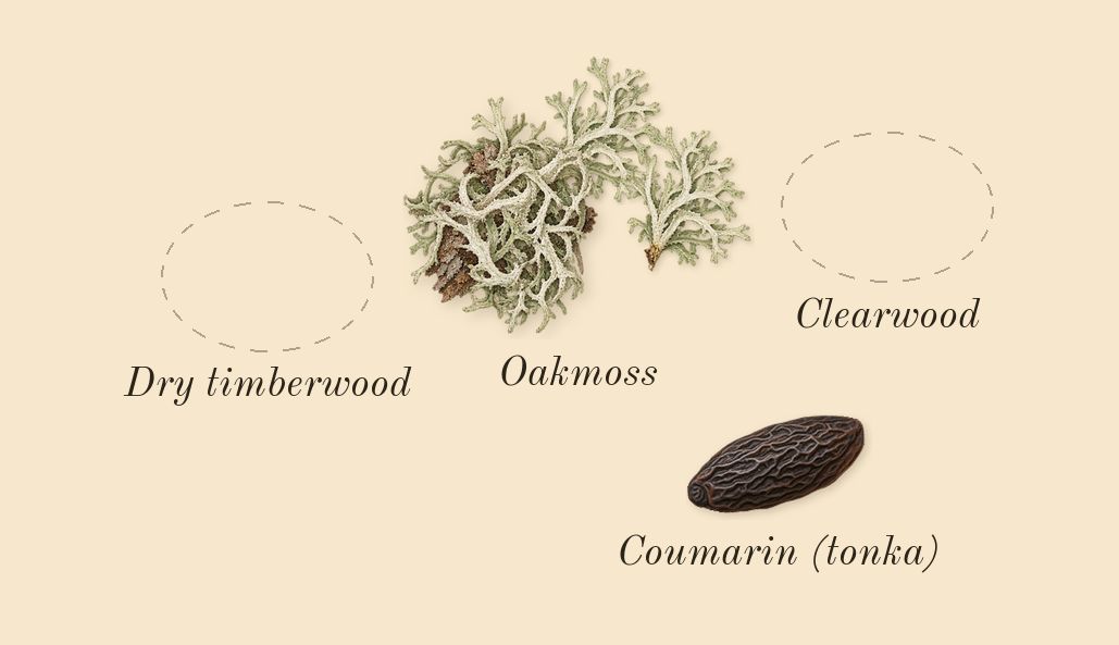 Hacivat, dry-down: Clearwood, Oakmoss, Dry timberwood, Coumarin (tonka)